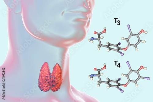 Molecules of thyroid hormones T3 and T4. Triiodothyronine and thyroxine, 3D illustration photo