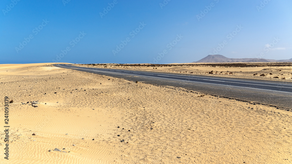 Road Crossing Corralejo Desert in Fuerteventura