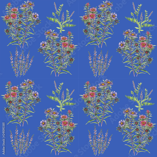 Seamless floral pattern with aster.
