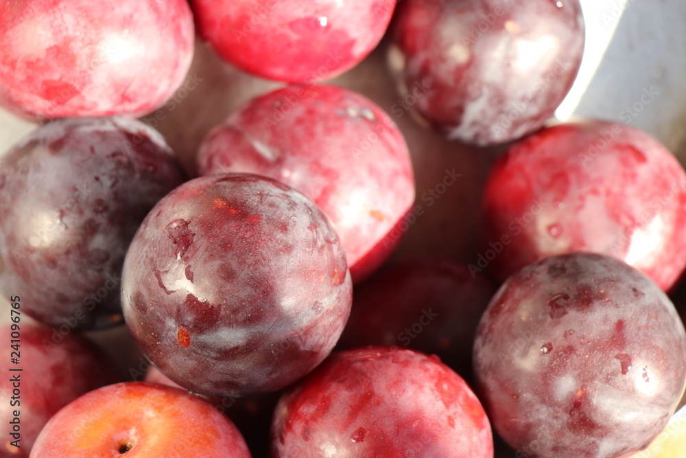 Obraz premium plum macro photo