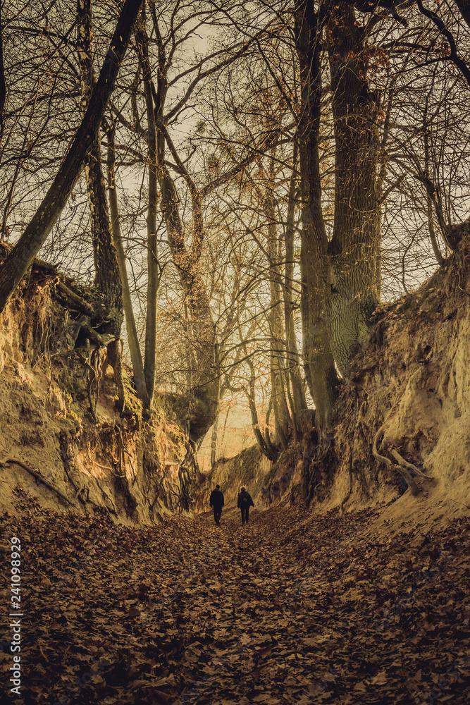 Obraz premium People walking through gorge