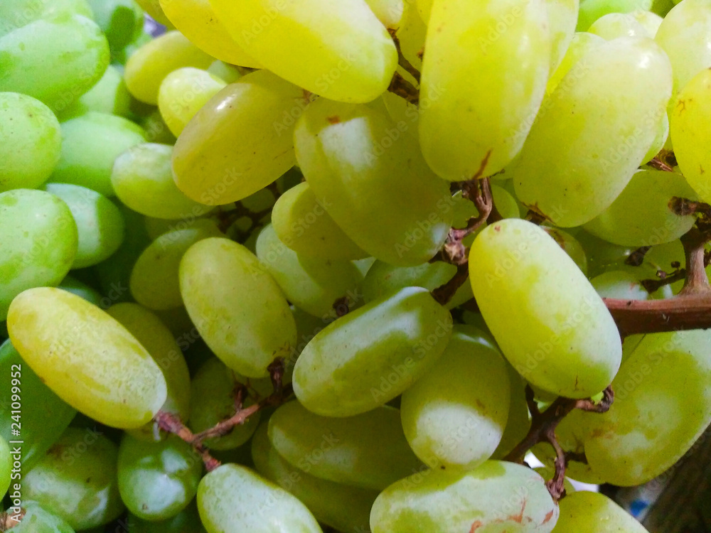 bunch of green grapes bunch of green grapes