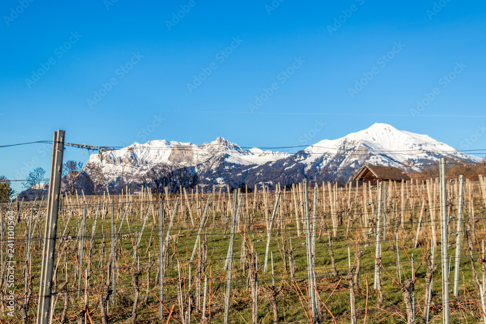 Fototapeta premium wooden fence and blue sky