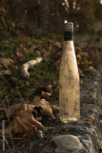 vintage empty bottle on the ground