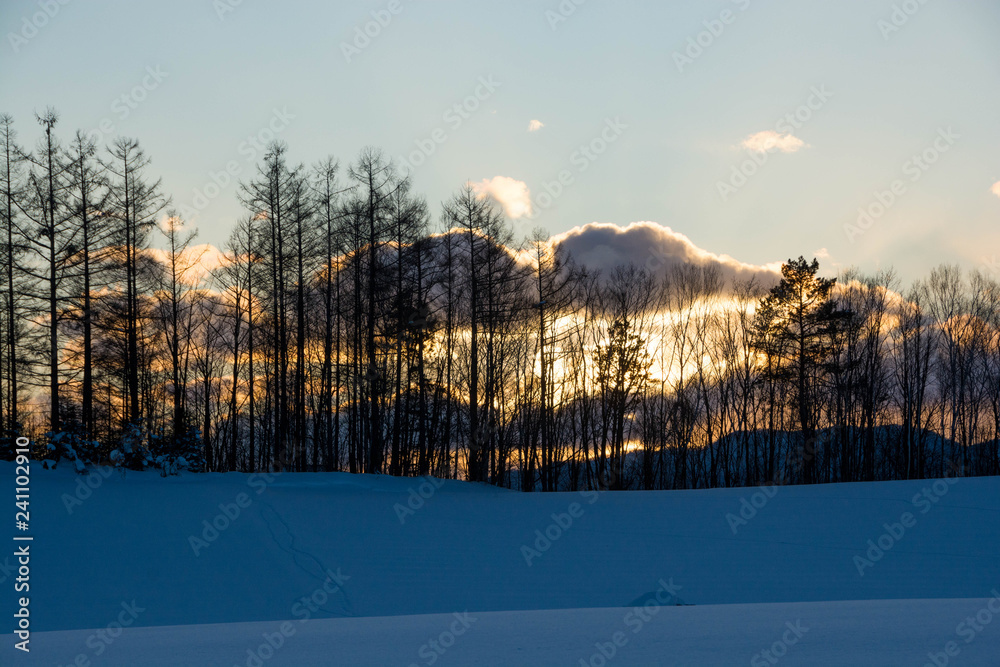 Fototapeta premium 冬の夕暮れの空