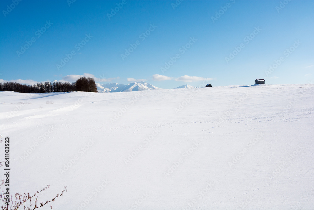 雪原と青空 十勝岳連峰 雪原と青空 十勝岳連峰