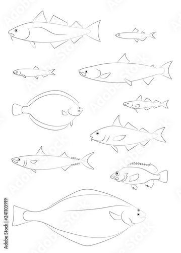 North Atlantic fish silhouettes. Vector images set.