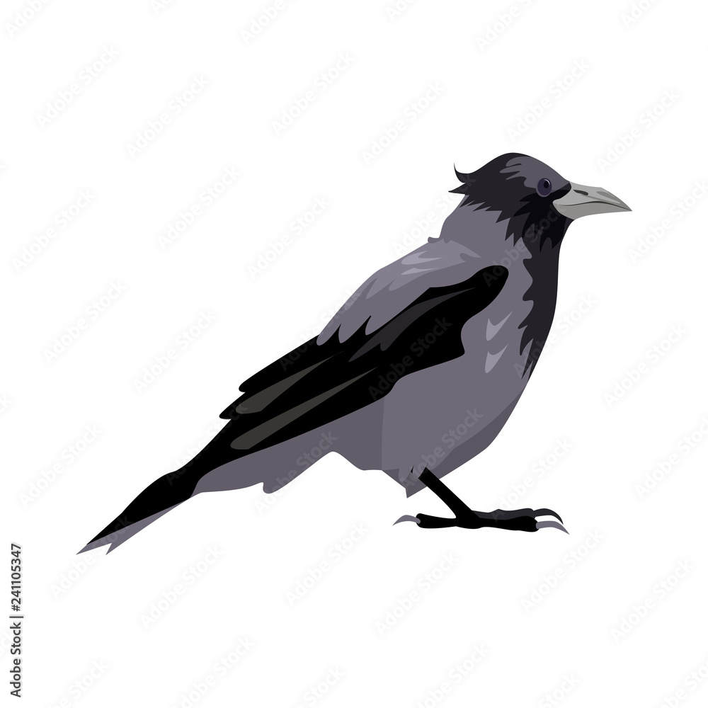Obraz premium Black and gray craw illustration. Bird, black, gray, wings. Nature life concept. Vector illustration can be used for topics like nature, animal world, encyclopedia