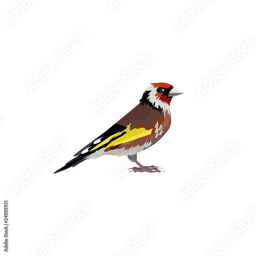 Thrush bird illustration. Bird, red, wings,  feather. Nature life concept. Vector illustration can be used for topics like nature, animal world, encyclopedia © PCH.Vector