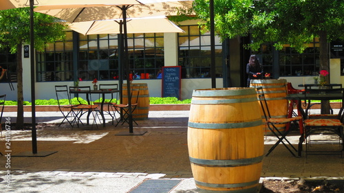 Concha y Toro Winery in Chile © Mariangela