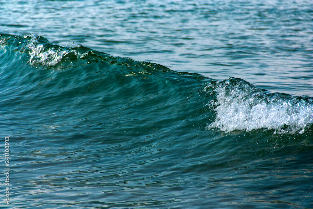 Fototapeta premium Sea wave in frozen motion as background