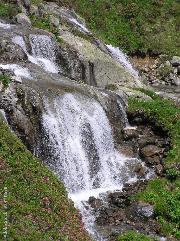 cascade cascade