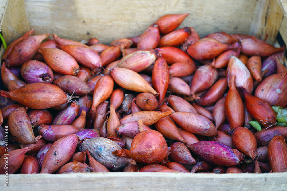Fresh pink shallots at a French farmers market Fresh pink shallots at a French farmers market