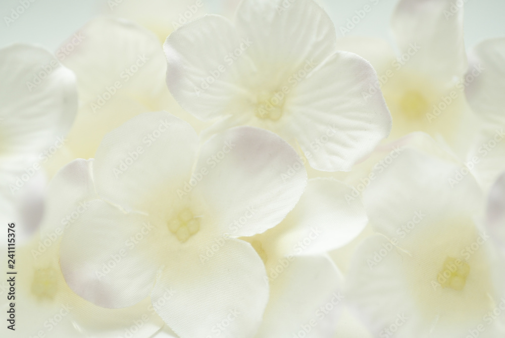 background of flowers background of flowers