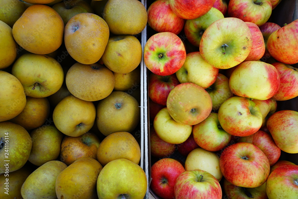 Fresh red and yellow apples at a farmers market Fresh red and yellow apples at a farmers market