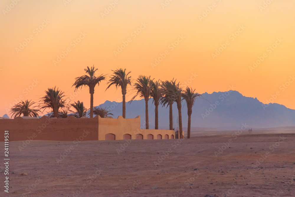 Fototapeta premium View of the Arabian desert in Egypt at sunset