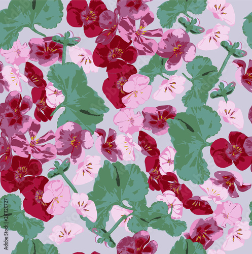 beautiful seamless pattern of pink and red geranium for decoration and design