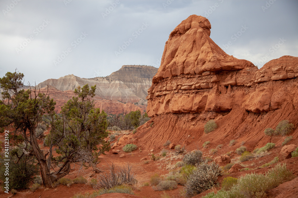 Fototapeta premium Sandstone Bluff, Southern Utah