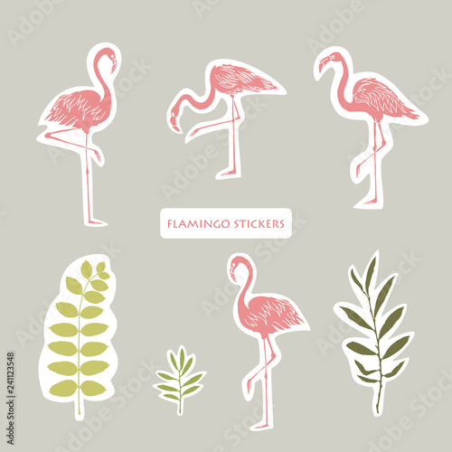 Vector objects. Flamingos and leaves set. Stickers design. Summer colors.