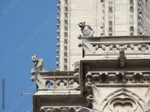 Gargoiles of Notre Dame (Paris) photo