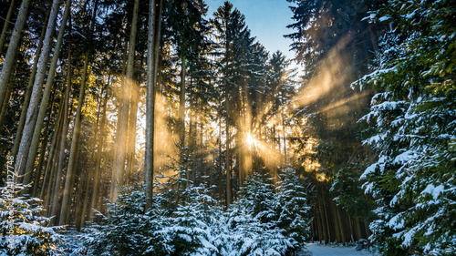 Winterlandschaft in Bad Waldsee photo