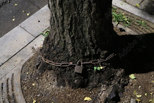 chain in wood