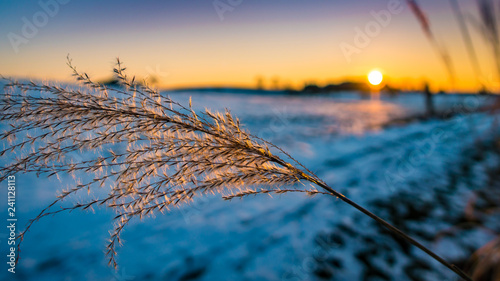 Winterlandschaft in Bad Waldsee photo