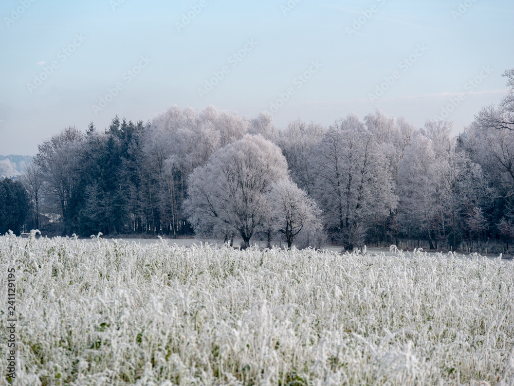 Image of romantic winter landscape after the first snow Image of romantic winter landscape after the first snow
