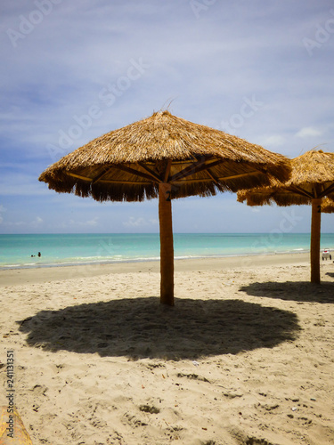 Straw beach umbrellas at a bar in Pilar beach - Ilha de Itamaraca  Pernambuco state  Brazil 