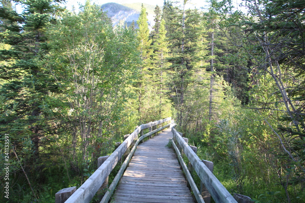 Going Down The Boardwalk, Banff National Park, Alberta Going Down The Boardwalk, Banff National Park, Alberta