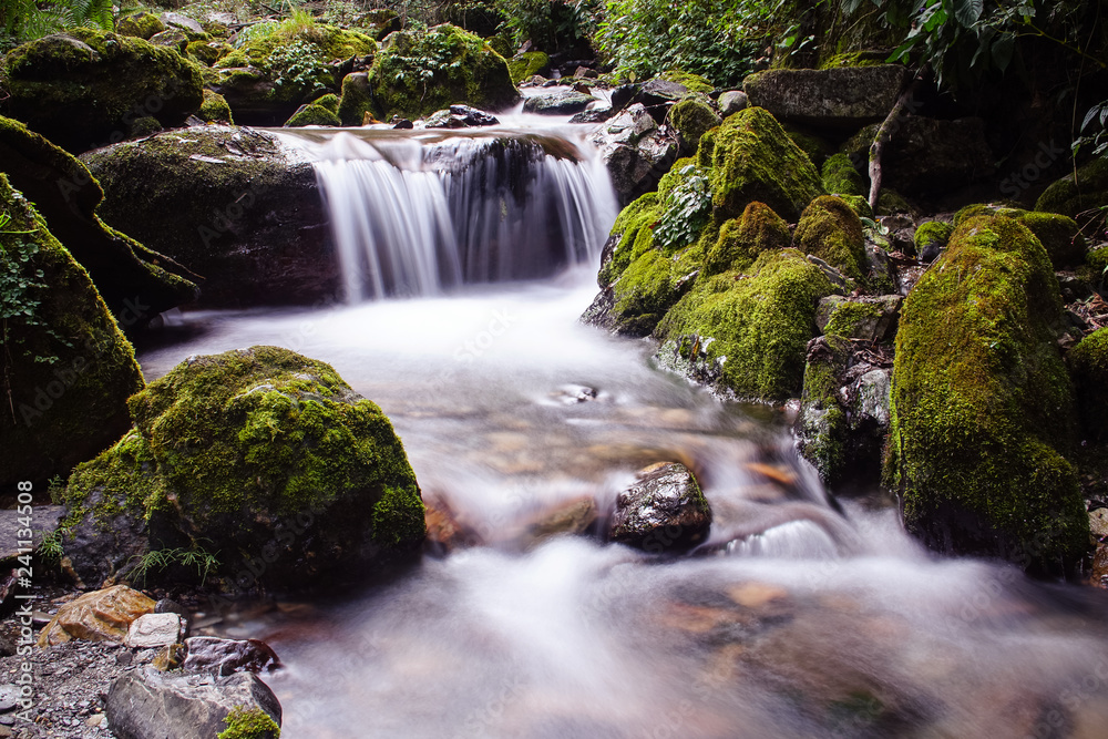 Obraz premium Mountain River with Cascades and Waterfall Flowing in the Himalayas. Forest Creek with Pure Transparent Water in Nepal