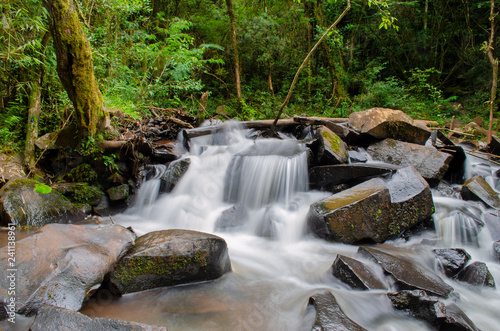 cascata cachoeira brasil