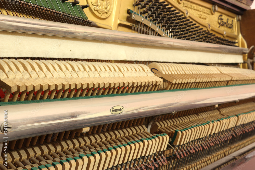 A close view of the mechanic of an upright piano, with tuning hitch pins,  hammer heads, the vibrating strings and the soft mute (sordino) felt cloth  Stock Photo | Adobe Stock