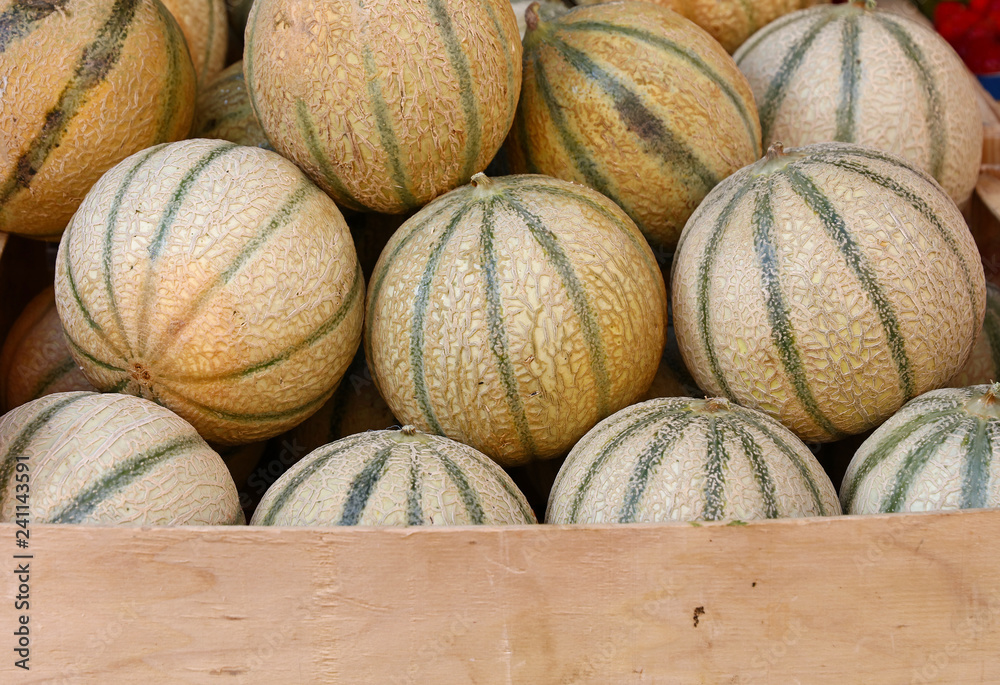 Close up fresh cantaloupe melons on retail display Close up fresh cantaloupe melons on retail display