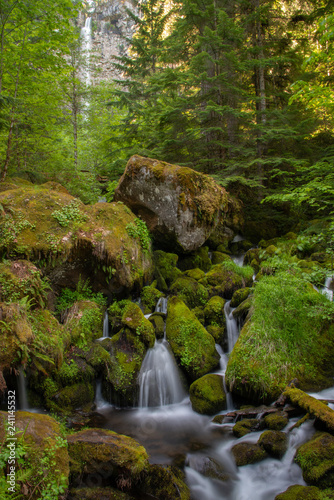 Watson Falls with everything covered in green