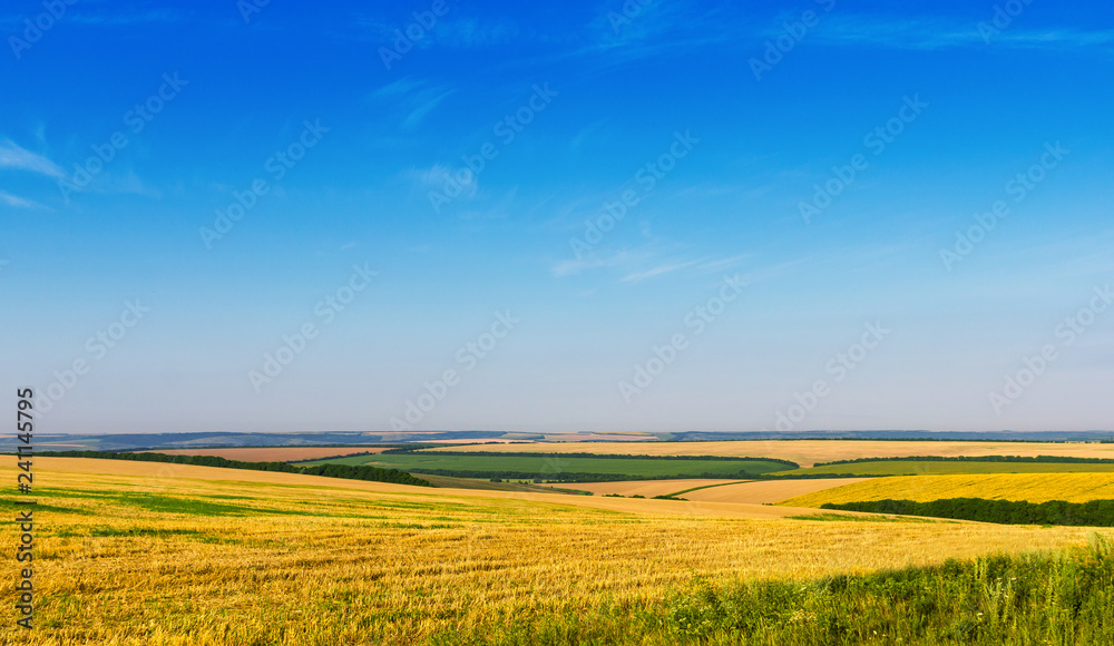 daylight, summer, field of mown wheat landscape daylight, summer, field of mown wheat landscape