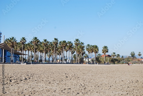 Fototapeta Naklejka Na Ścianę i Meble -  Palm Trees on the Beach, Valencia, Spain