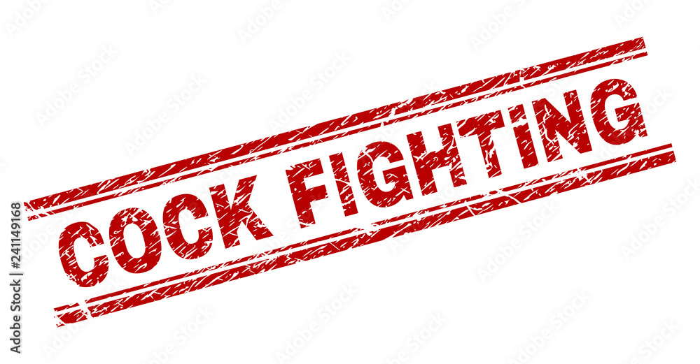 COCK FIGHTING seal print with grunge texture. Red vector rubber print of COCK FIGHTING text with retro texture. Text title is placed between double parallel lines. COCK FIGHTING seal print with grunge texture. Red vector rubber print of COCK FIGHTING text with retro texture. Text title is placed between double parallel lines.