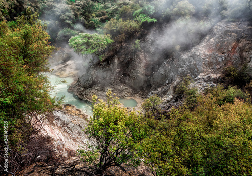 Waiotapu Thermal Wonderland stream with steam - New Zealand