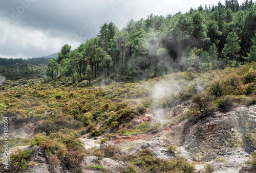 Waiotapu Thermal Wonderland - New Zealand