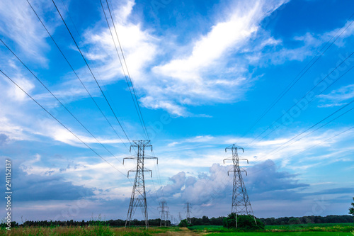 electricity pylons in a field