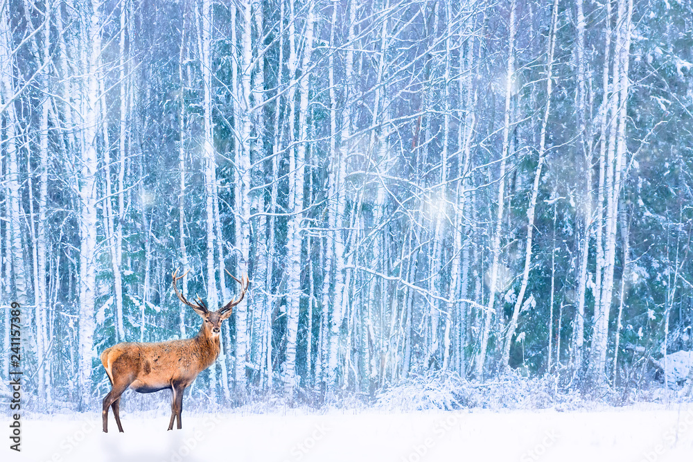 Fototapeta premium Noble deer against winter snowy forest. Artistic fairy Christmas. Winter seasonal image.