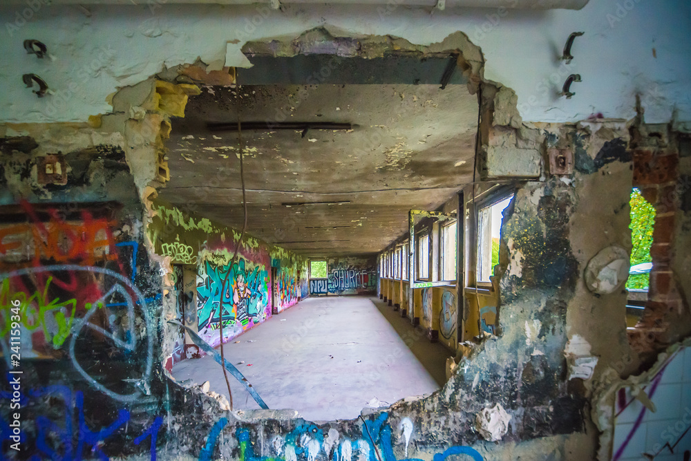 Fototapeta premium Ściana z graffiti przebija się
