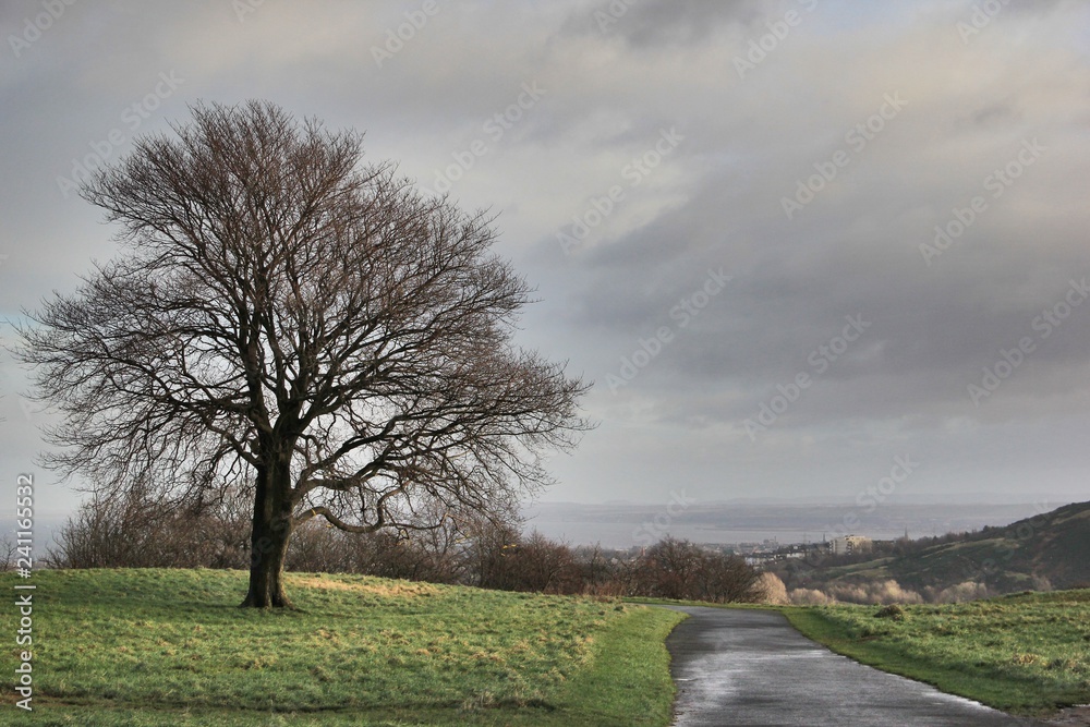 Obraz premium Winter road