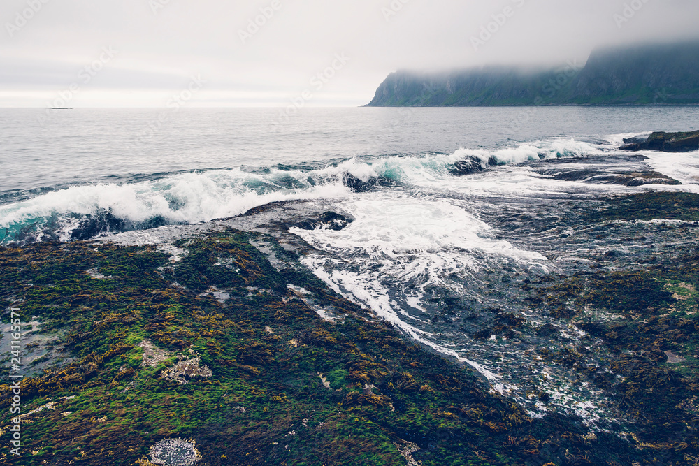 Waves crashing to coast at misty day at Senja island, Norway.