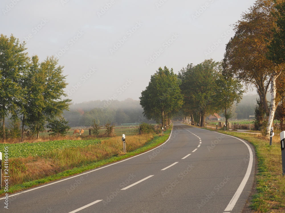 Naklejka premium Landstrasse