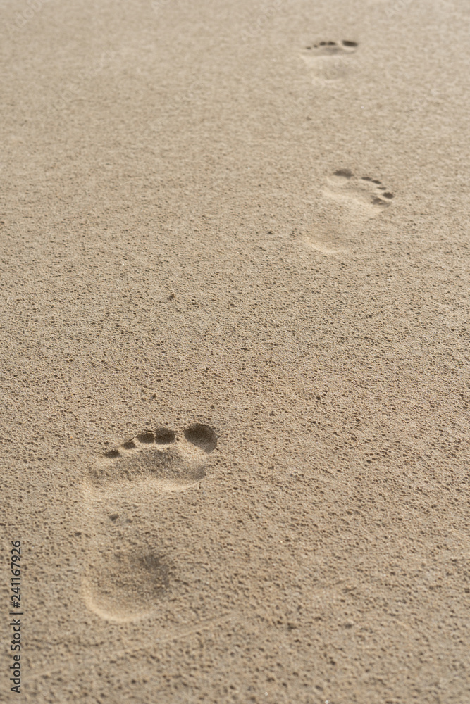 Footprints on the sand of the beach Footprints on the sand of the beach
