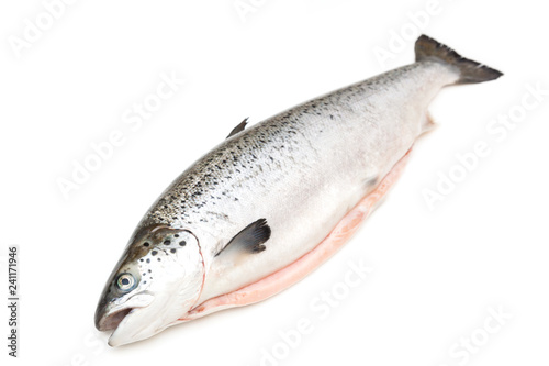 Atlantic salmon fish isolated on a white studio background.