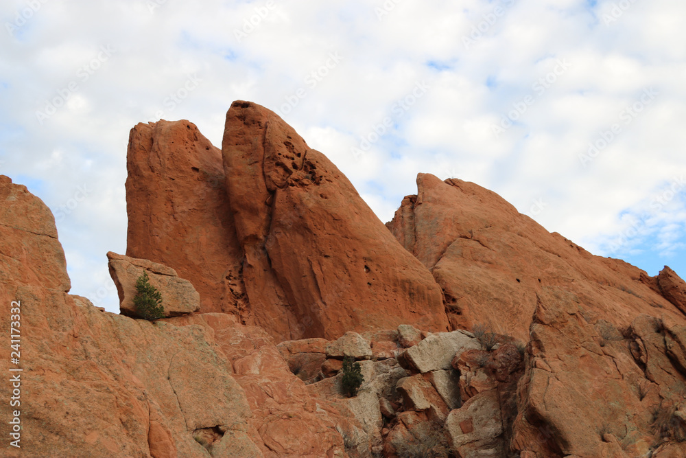 red rocks jutting up with small tree growing among them