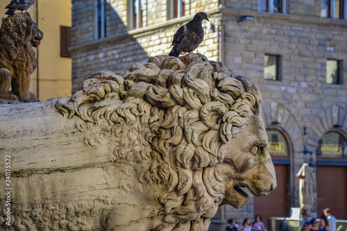 Florence, Tuscany, Italy